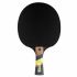 Cornilleau Excell 2000 Carbon Pingismaila 6-star, ITTF Hyväksytty