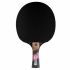 Cornilleau Excell 3000 Carbon Pingismaila 6-star, ITTF Hyväksytty